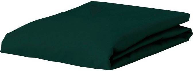Essenza Premium Jersey Hoeslaken Extra Hoog 97% Gebreide Katoen 3% Elastan  1 persoons(90/100x200/220 Cm) Oyster - Beddentotaalmarkt.nl